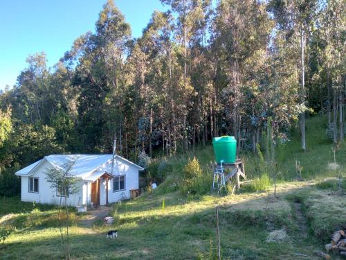 ein kleines weißes Haus mitten auf einem Feld in der Unterkunft Donde la Euli in Pitrufquén