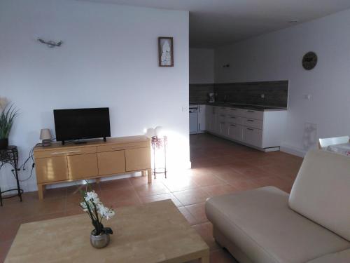 TV a/nebo společenská místnost v ubytování Gîte Les Songes