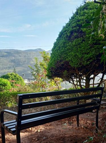 a black bench sitting in front of a tree at Rheinberg Town Haus in Munnar