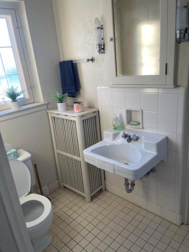 a bathroom with a sink and a toilet at The Brower House in Saint Cloud