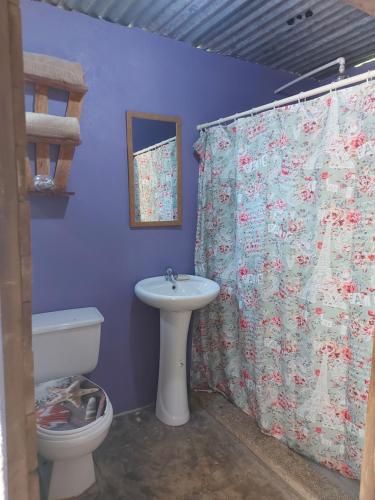 a bathroom with a sink and a toilet and a shower curtain at Anez Cabin'S in Cabuya