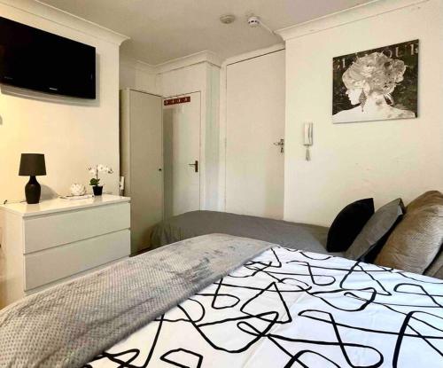 a bedroom with a bed and a dresser and a tv at A beautiful studio flat with garden in London