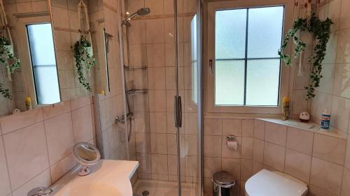 a bathroom with a shower and a toilet and a sink at Lechbruck am See Feriendorf Hochbergle Haus 51 in Lechbruck