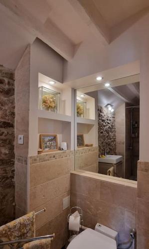 La salle de bains est pourvue de toilettes et d'un grand miroir. dans l'établissement Maison Briadre Paris Disney gitelevouilly, à Chauffry