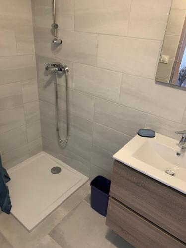 une salle de bain avec douche et lavabo dans l'établissement L' Ariston, à Vaison-la-Romaine