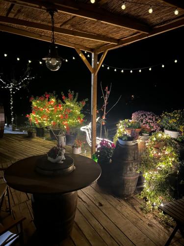 a patio with a table and a bunch of plants at Glamping Il Rifugio dei Marsi in Ascoli Piceno