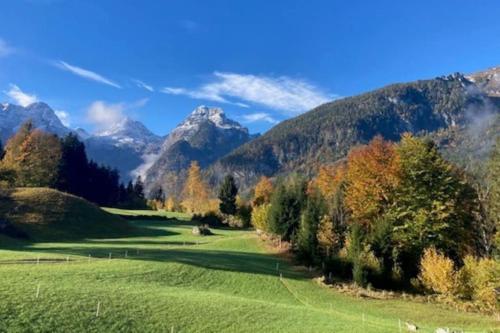 a green field with trees and mountains in the background at Große schöne Mansardenwohnung mit 2 Balkonen in Lofer