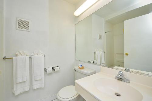 Bilik mandi di Americas Best Value Inn - Chico