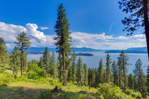 a view of a lake from a hill with trees at RiverPoint Retreat in Sandpoint