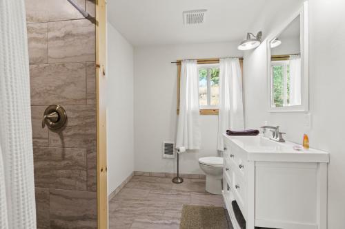 a bathroom with a toilet and a sink and a shower at Lakefront Gem with Hot tub and Views in Sandpoint