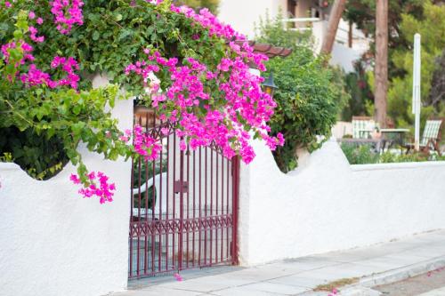 Taman di luar Seaview Apartment - Poros Relaxing Beachfront Flat