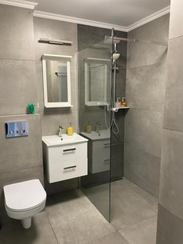 a bathroom with a toilet and a sink and a shower at Apartament 333 in Warsaw