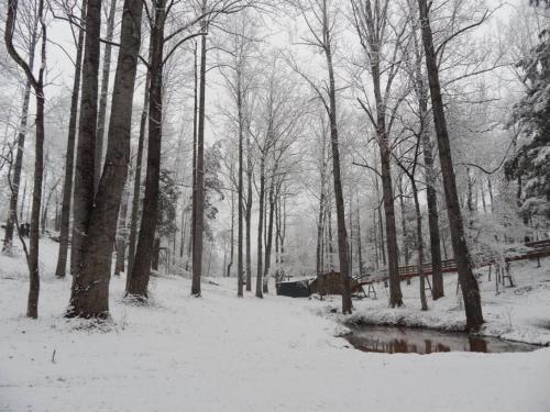 a snow covered forest with trees and a stream at Suite Maharaja in Stanardsville