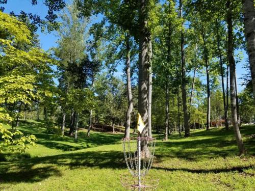 a tree with a net in the middle of a park at Suite Maharaja in Stanardsville