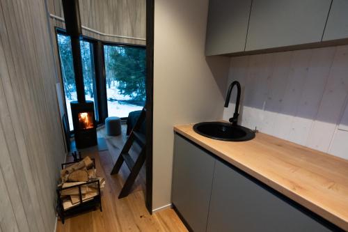 a kitchen with a sink and a counter with a fireplace at Paunküla Nature Resort (forest villa) in Ardu