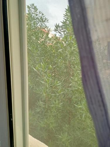 a view of a bush through a window at Spring house in Qaryat Shākūsh