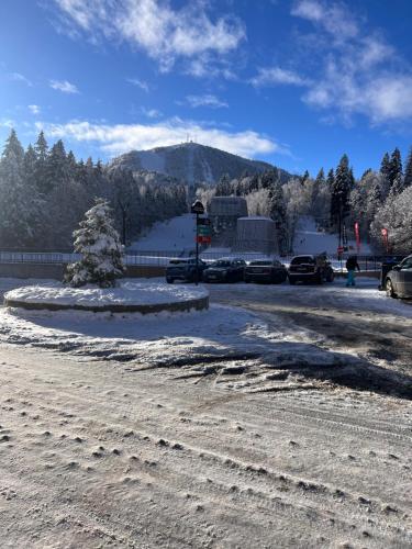 Příroda nedaleko vily