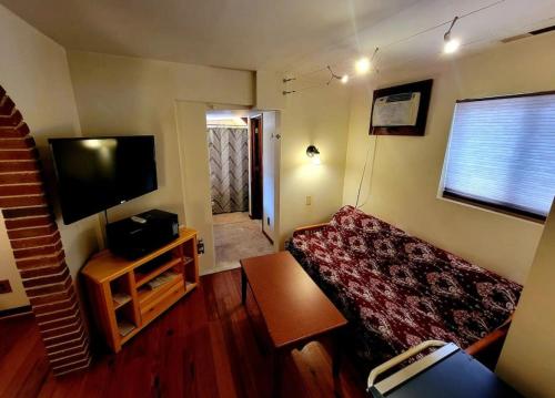 a living room with a couch and a flat screen tv at Royal Suite at White Lotus Eco Spa Retreat in Stanardsville