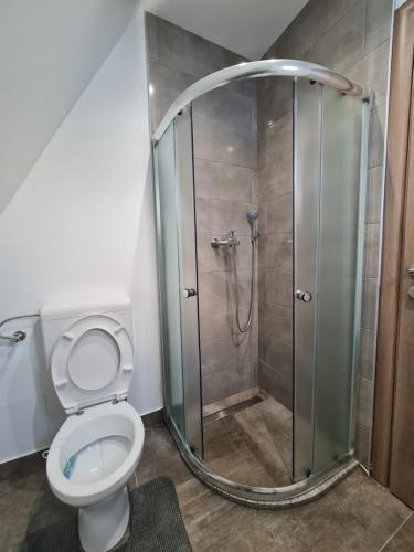 a bathroom with a shower and a toilet at Bajkoviti bungalov in Pale