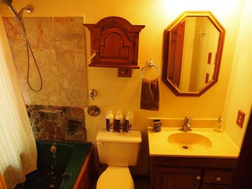 un bagno con un water, un lavandino e uno specchio di Suite Pea at White Lotus Eco Spa Retreat a Stanardsville