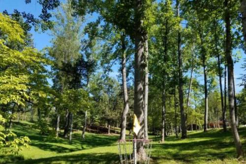 a group of trees in a park with a frisbee at Shire Suite at White Lotus Eco Spa retreat in Stanardsville