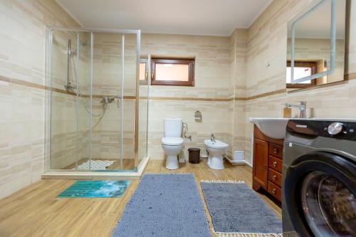 a bathroom with a shower and a toilet and a sink at Cabana Lunca in Tîrgu Neamţ
