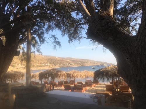 vistas a una playa con sillas y un árbol en villa hibiscus with swimmimg pool see view few meters from beaches, en Koundouros