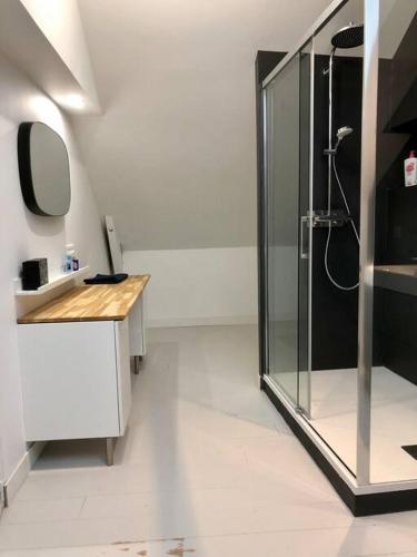 une salle de bain avec une douche, un lavabo et un miroir dans l'établissement La maison de Félix. Maison de bord de Loire., à Chalonnes-sur-Loire
