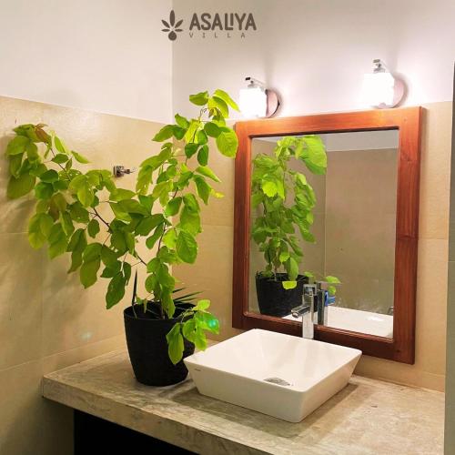 lavabo con espejo y maceta en Asaliya Villa, en Aswalapitiya
