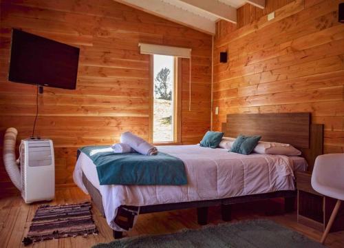 a bedroom with a bed in a wooden room at Tiny House con opción de tina temperada in Puerto Varas