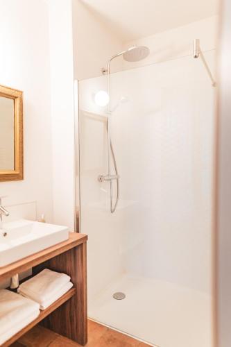 une salle de bain avec douche et lavabo dans l'établissement Domaine de La Bordasse, à Villematier