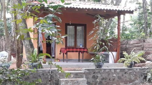 Κήπος έξω από το Freedom Villa Hiriketiya