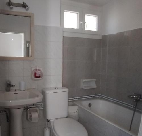 a bathroom with a toilet and a sink and a tub at Casa Sulla Montagna in Loutses