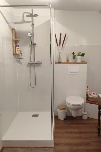 une salle de bain avec douche et toilettes dans l'établissement Blois City - Le Petit Louis XII, à Blois