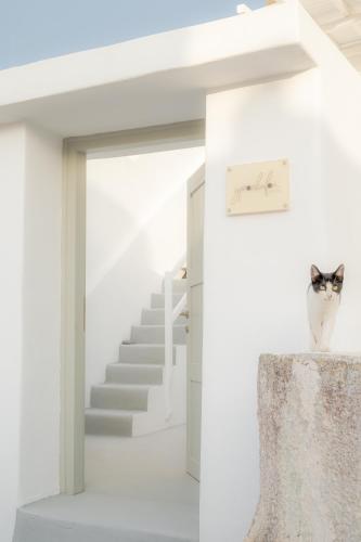 a cat sitting on a table in a white room at Yposkafon Concept Two-Bedroom Villa with Private Jacuzzi and Hamam in Megalokhori