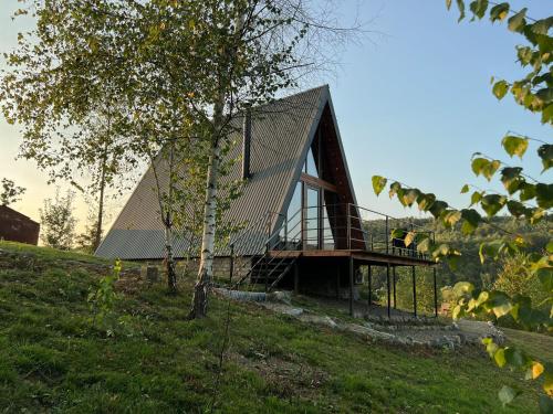 a house with a metal roof on top of a hill at Dobrede - будиночки під лісом in Dubrynychi