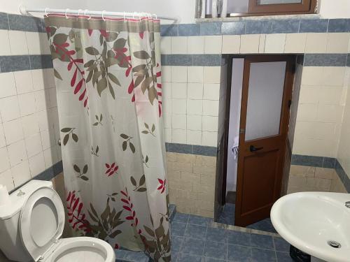 a bathroom with a toilet and a sink and a shower curtain at Hostel Mateo in Gjirokastër