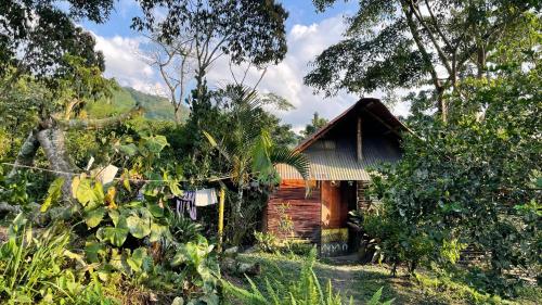 una pequeña casa en medio de un bosque en TROPICAL BIOHOSTEL, en Nocaima