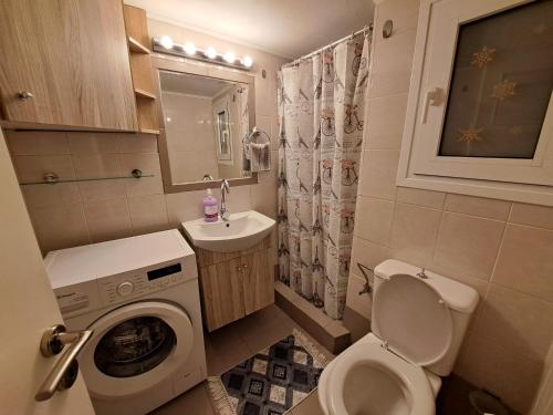 La petite salle de bains est pourvue de toilettes et d'un lavabo. dans l'établissement Αθηναϊκό Διαμέρισμα 5, à Athènes