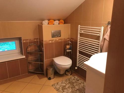 a bathroom with a toilet and a sink at Penzión Jany in Zuberec