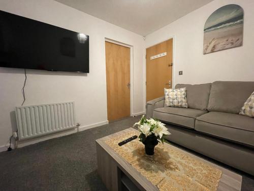 a living room with a couch and a tv at Elegant 1-BR Flat Roman Road in Middlesbrough