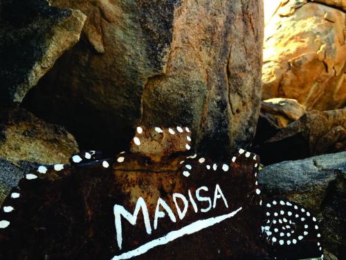 a sign that says madasa sitting on some rocks at Madisa Camp in Kalkbron