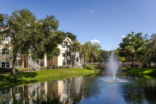 Sheraton Vistana Resort Villas, Lake Buena Vista Orlando photo 14