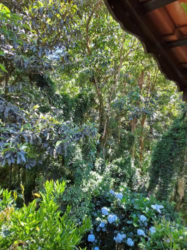 a garden with blue flowers and trees at Chalé charmoso e aconchegante em Visconde de Maua in Visconde De Maua