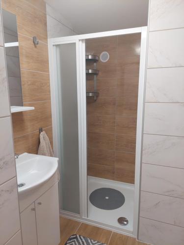 eine Duschkabine im Bad mit Waschbecken in der Unterkunft Apartman Ždralović in Lipik