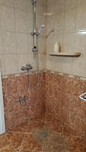 y baño con ducha y azulejos marrones. en Villa Julia, en Budapest