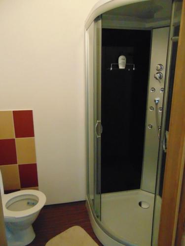WeissbachにあるPension Poledníkのトイレとガラスのシャワー付きのバスルーム