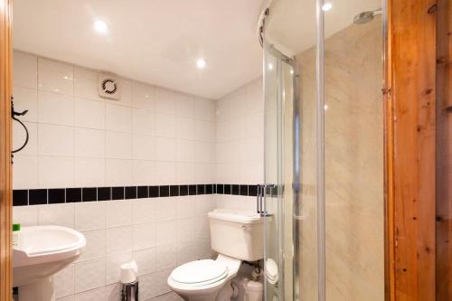 a bathroom with a toilet and a sink and a shower at The Retreat in Llanrhaeadr-ym-Mochnant