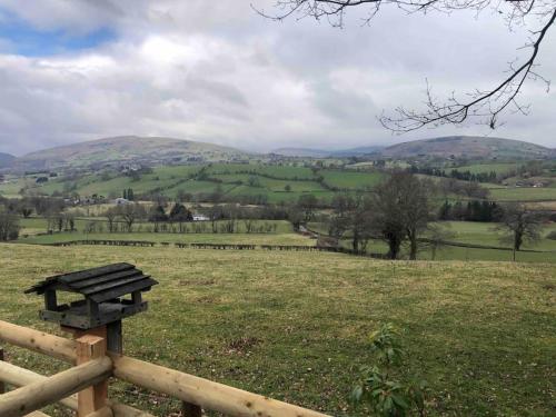 a wooden bench in a field with mountains in the background at The Retreat in Llanrhaeadr-ym-Mochnant