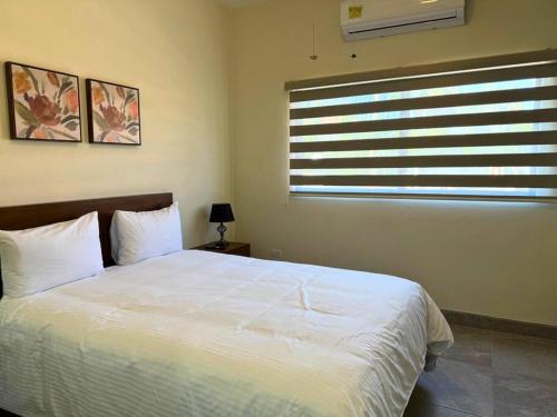 a bedroom with a white bed and a window at Encantador loft 1 frente a plaza in Loreto